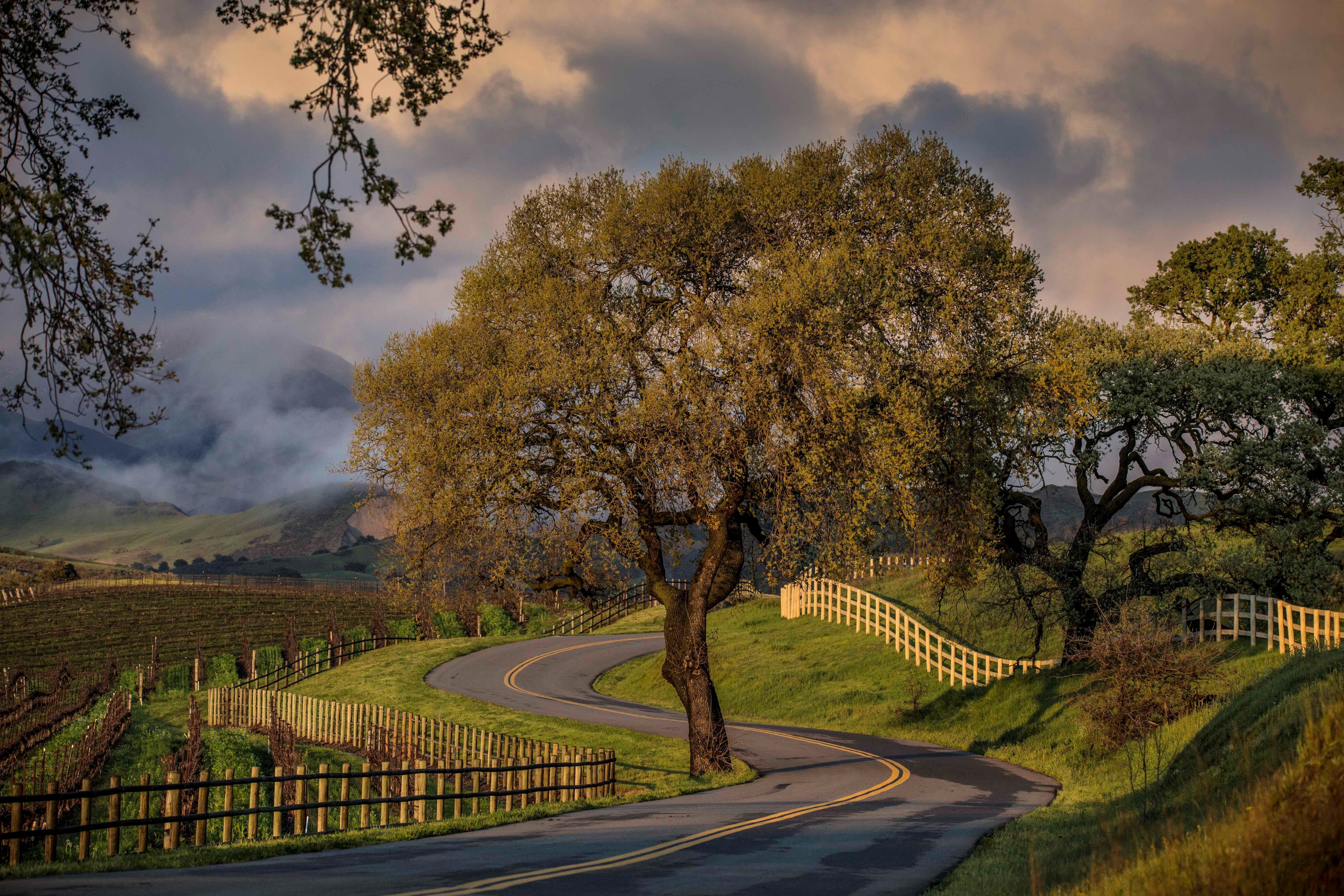 Sacramento Valley - Discover California Wines
