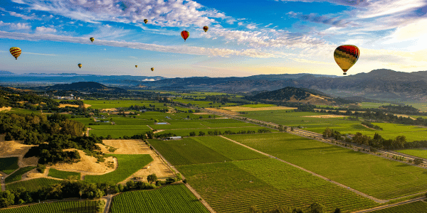Napa